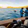Tenders for diving - Blue Lotus