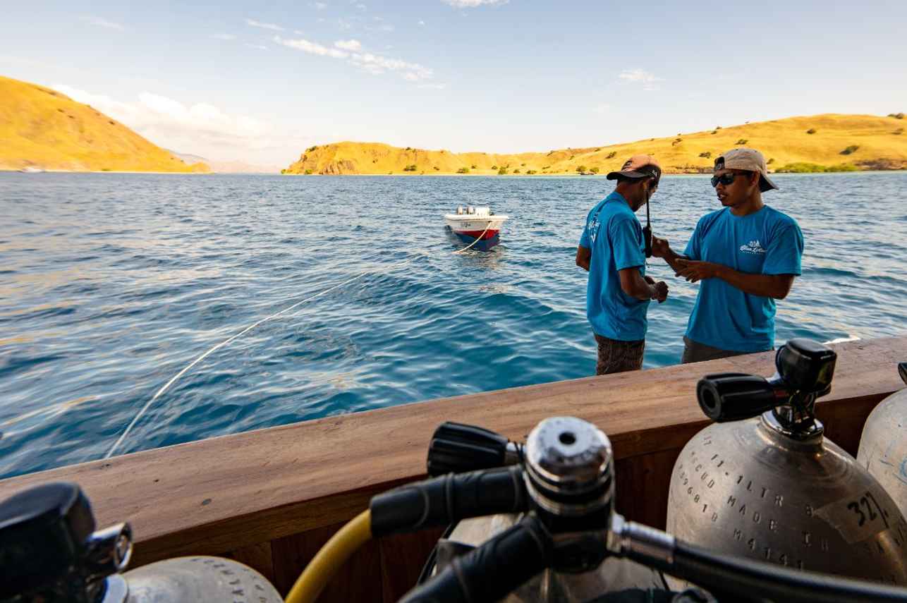 Tenders for diving - Blue Lotus