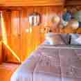 Master Cabin - Blue Lotus