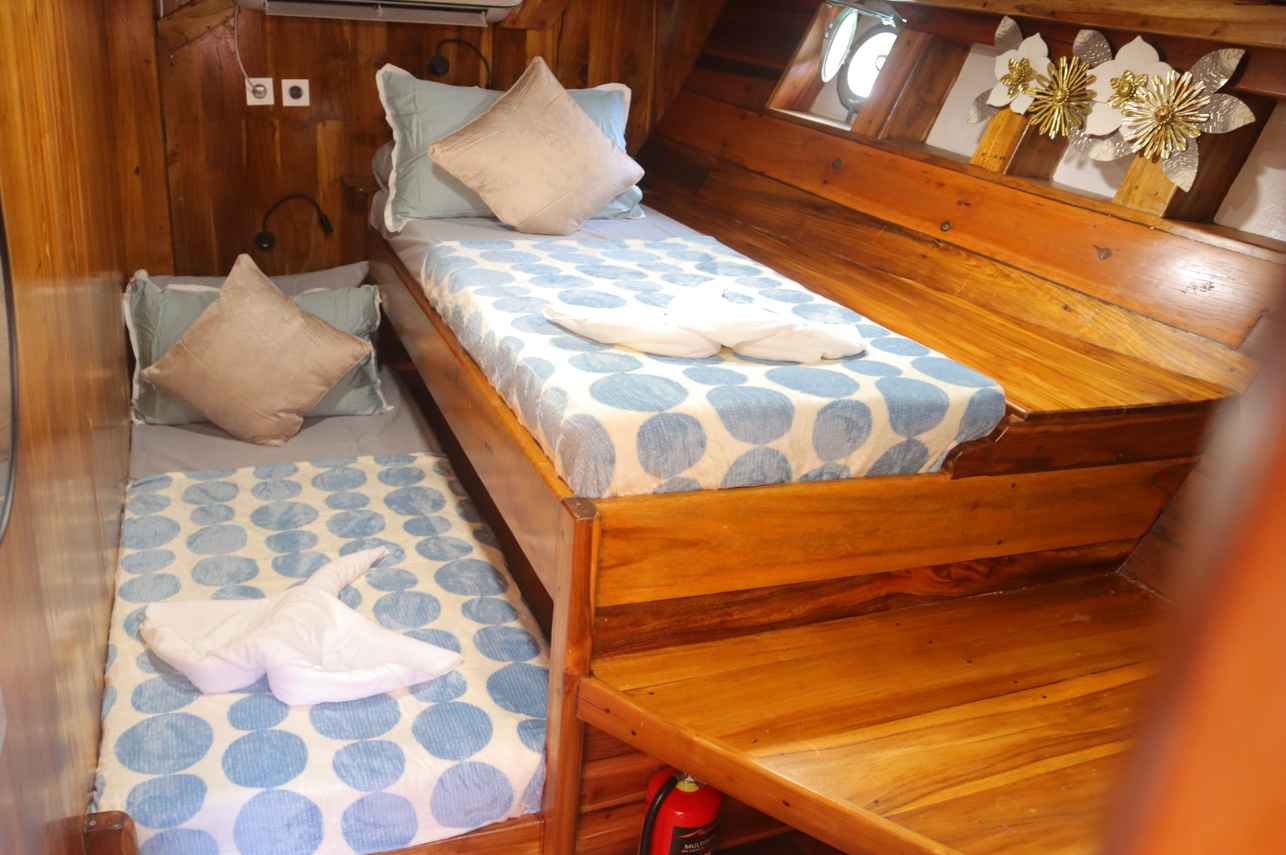 Twin Cabin - Blue Lotus