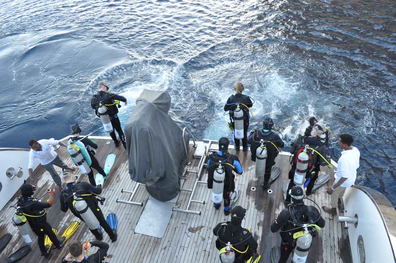 Dive Platform - Sindalahs