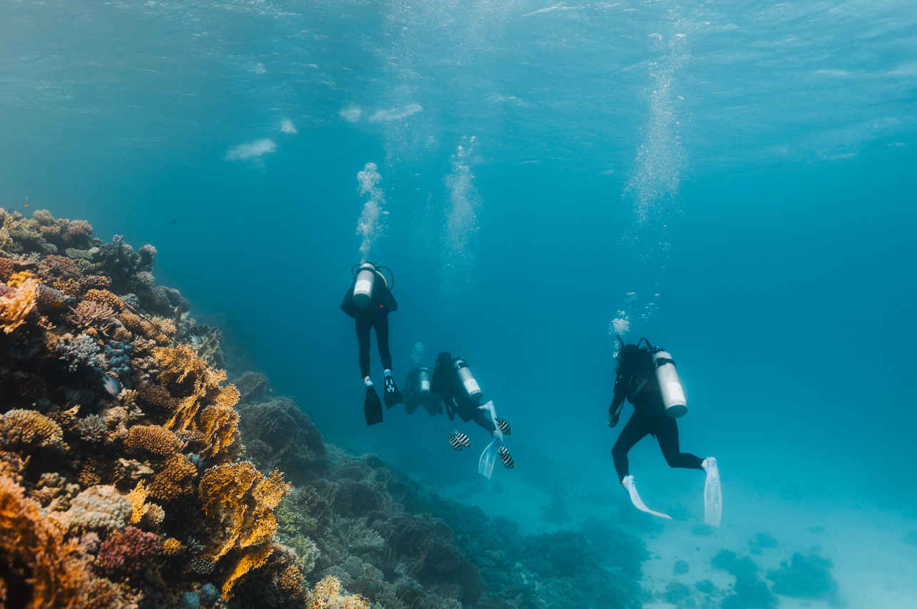 Diving