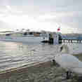 MS Elbe Princesse