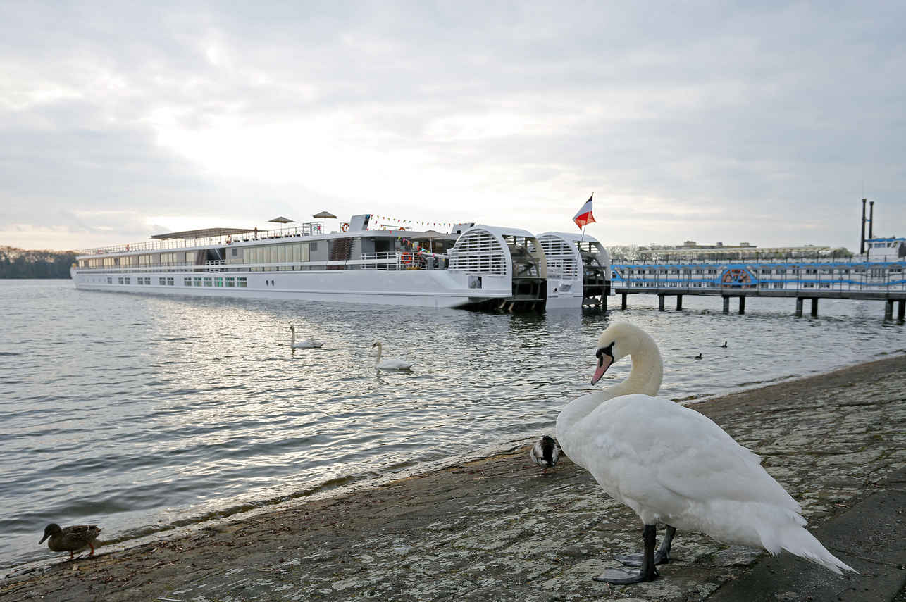 MS Elbe Princesse