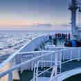 日光浴甲板 - Hondius Antarctica Diving
