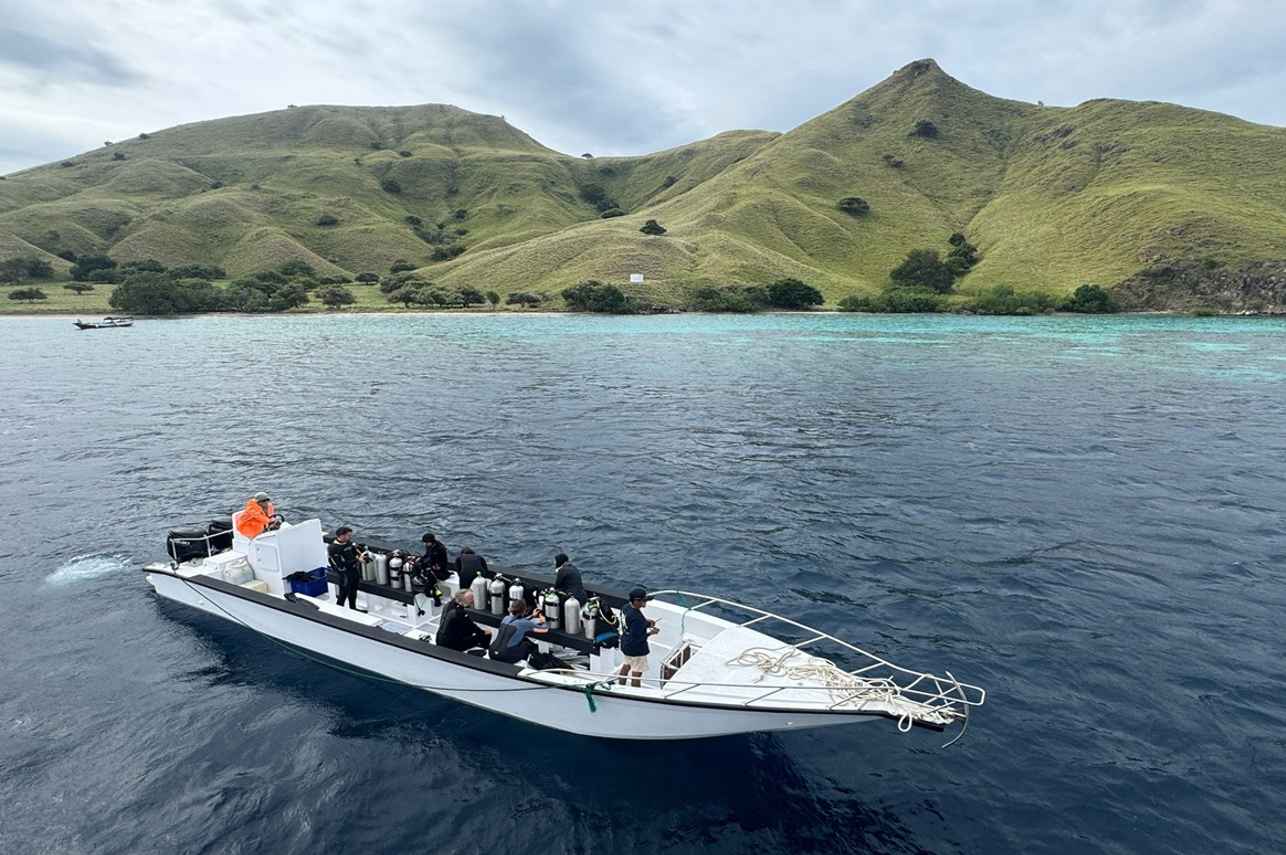 Diving Dhoni - Naga Biru