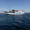 Naga Biru