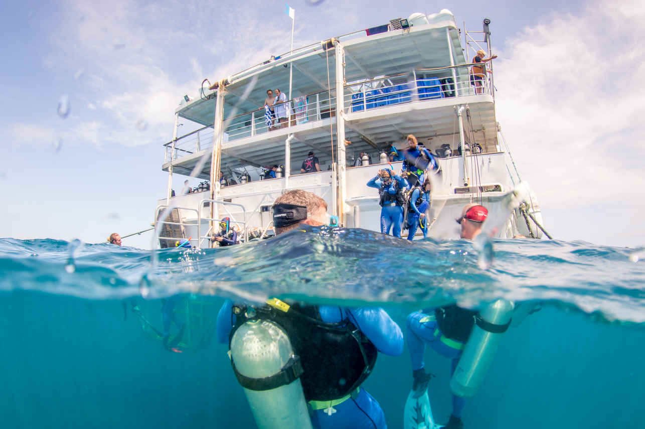 Plateforme de plongée - Reef Encounter