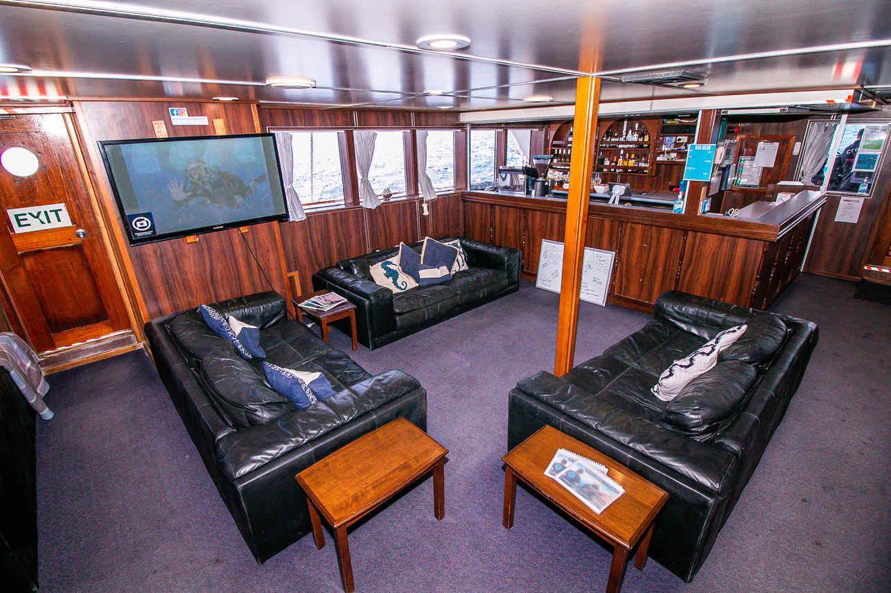 Bar et Salon extérieur - Reef Encounter