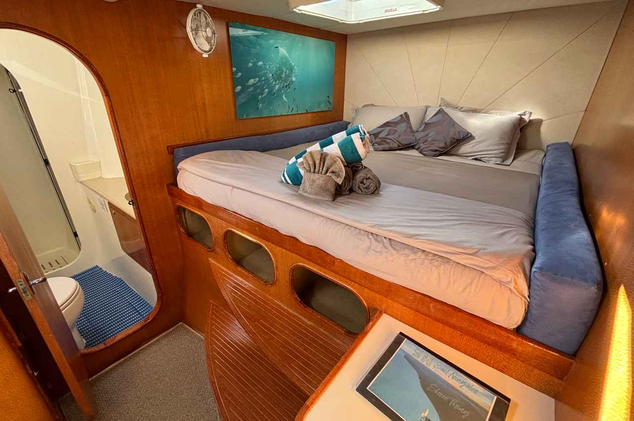 Stateroom - Shore Thing Cruise