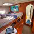 Stateroom  - Shore Thing Cruise