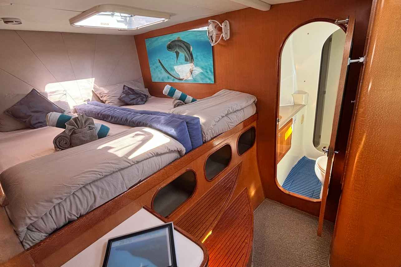 Stateroom - Shore Thing Cruise