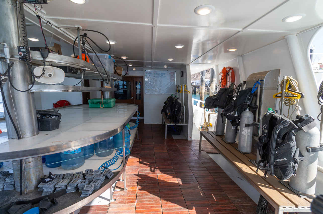 Plateforme de plongée - Quino del Mar