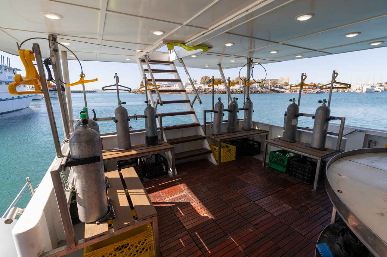 Plateforme de plongée - Quino del Mar