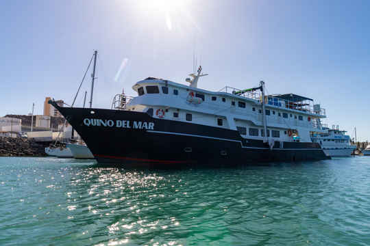 Quino del Mar