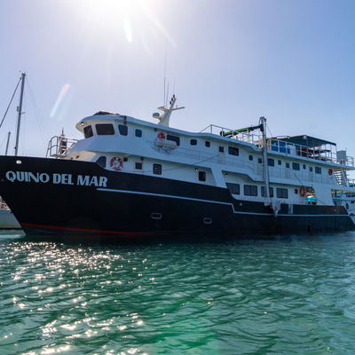 Quino del Mar — vessel photograph