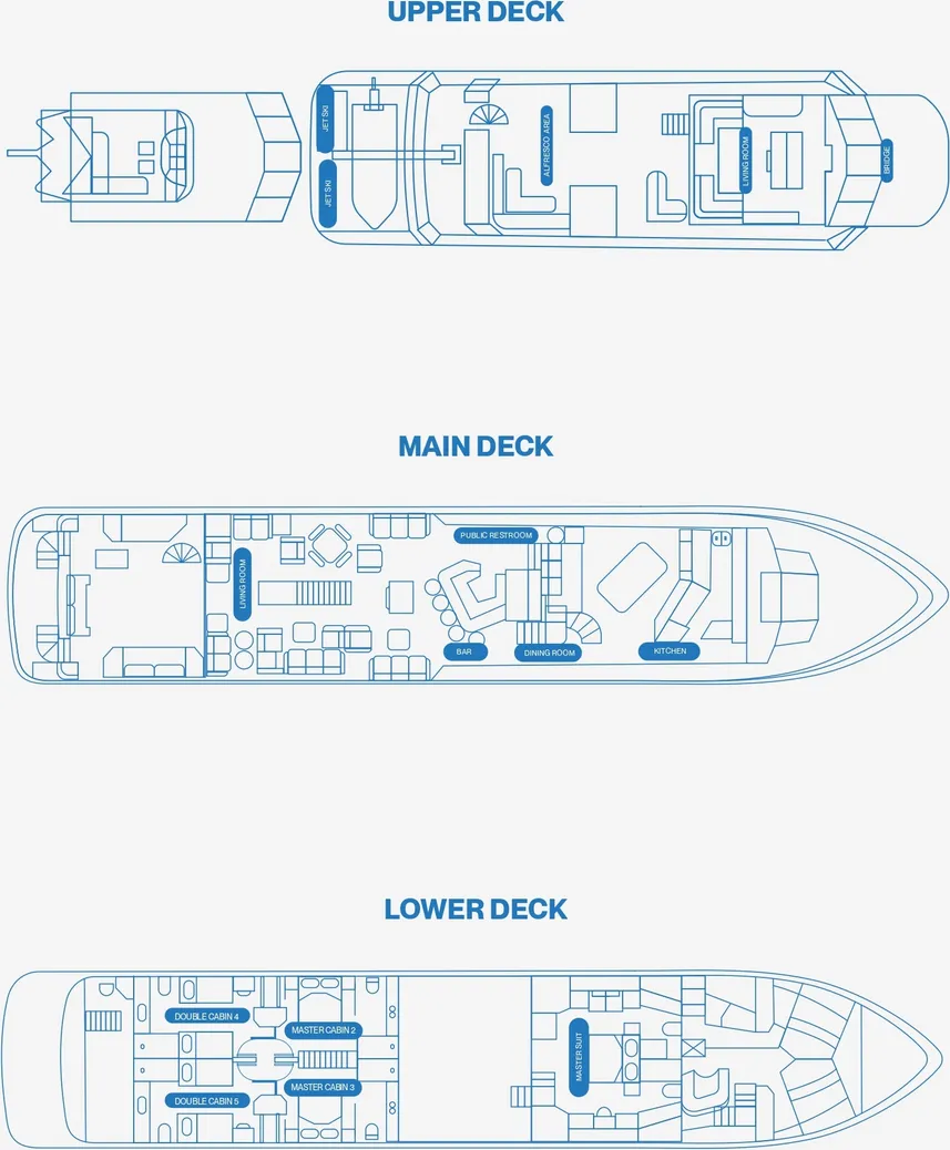 disposizione del ponte