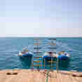 #tendersfordiving  - Sinaistar
