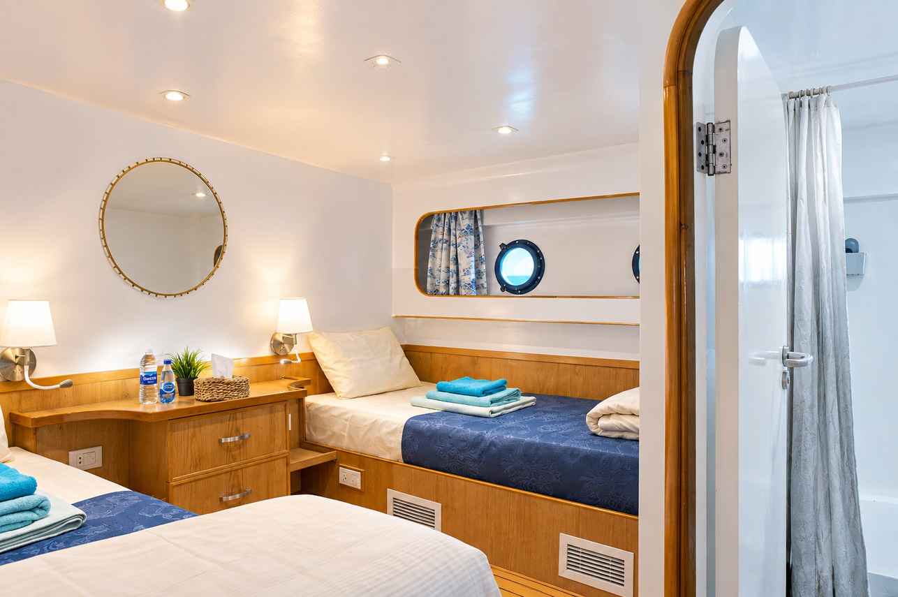 #twincabin  - Sinaistar