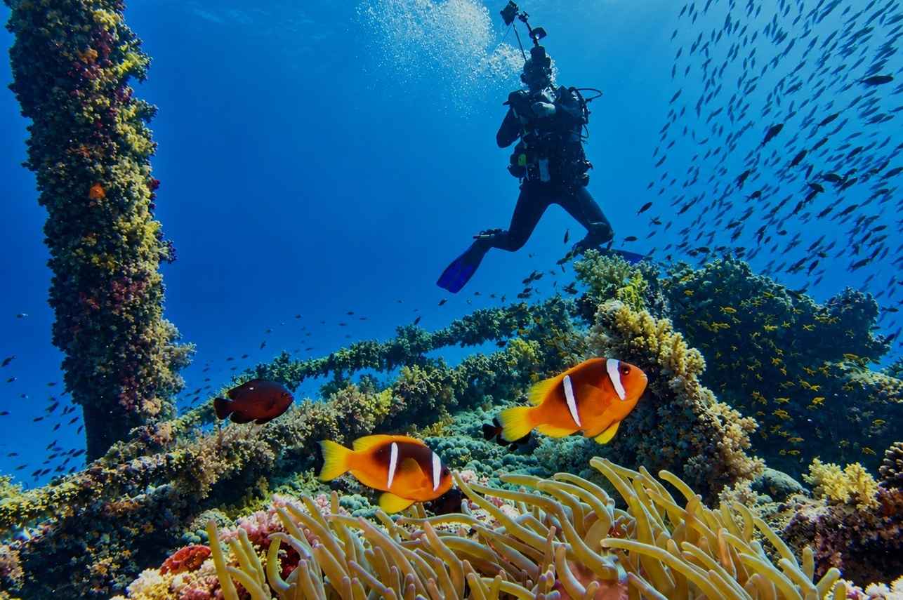 Diving