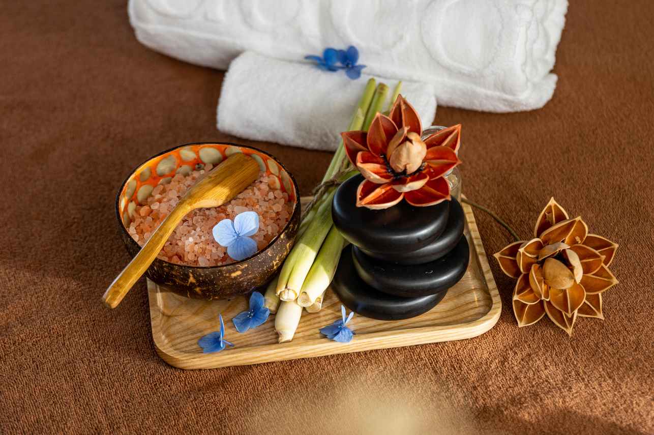 Spa and Wellness Area