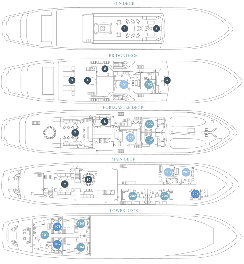 disposizione del ponte