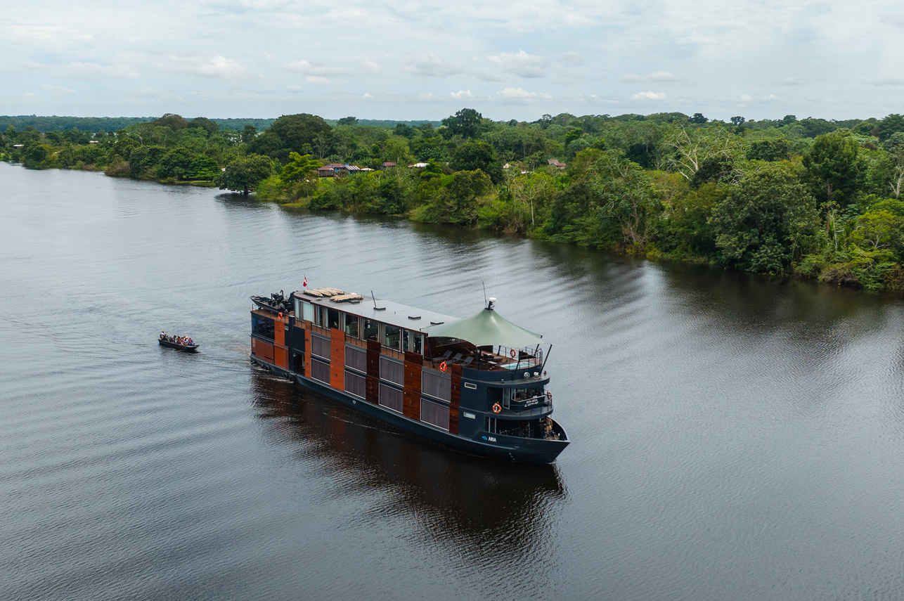 Aria Amazon