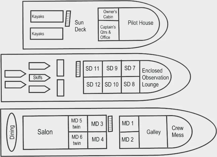 disposizione del ponte