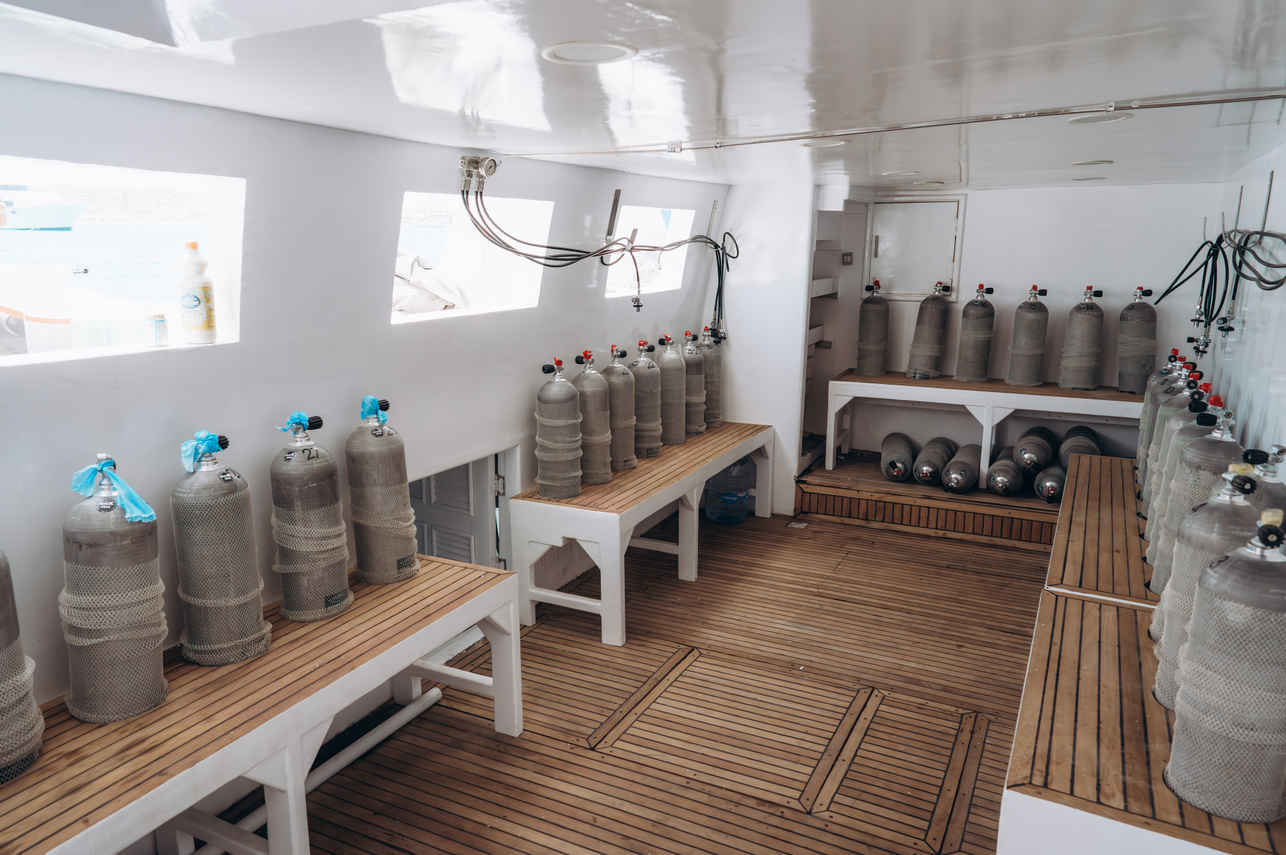 Cubierta de buceo - Yachtiano