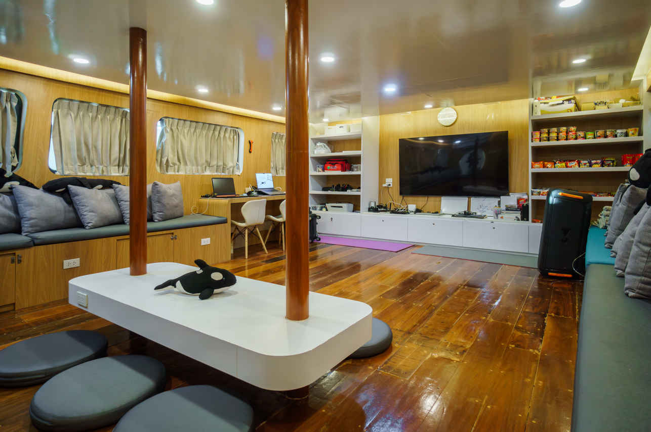 Salon intérieur - Orca Oktavia