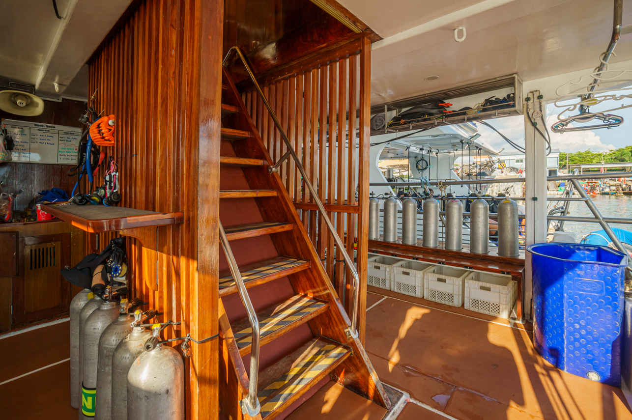 Plateforme - Orca Oktavia