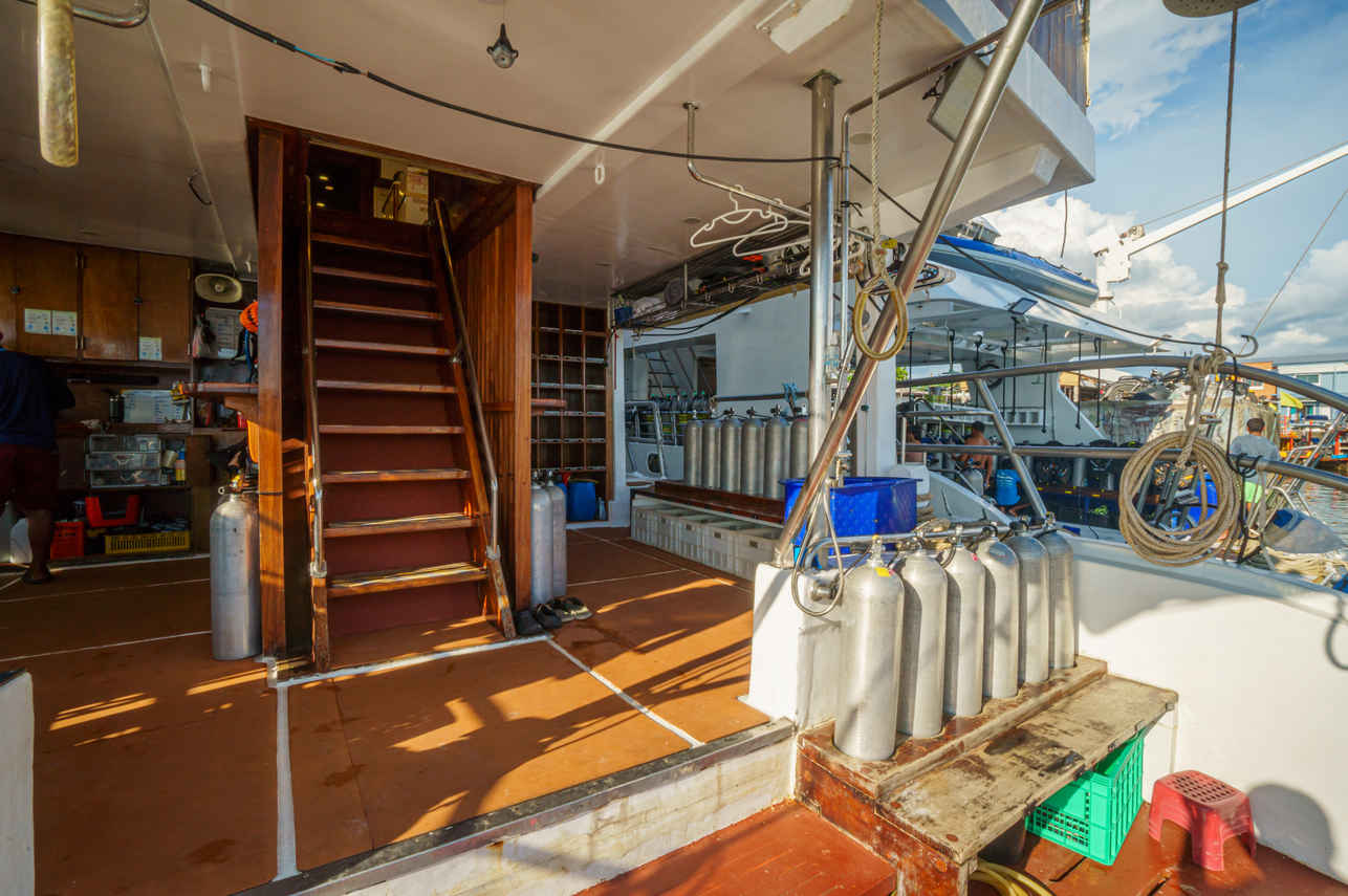 Plateforme - Orca Oktavia