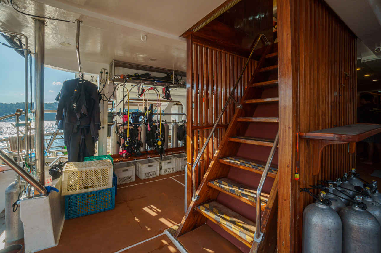 Plateforme - Orca Oktavia