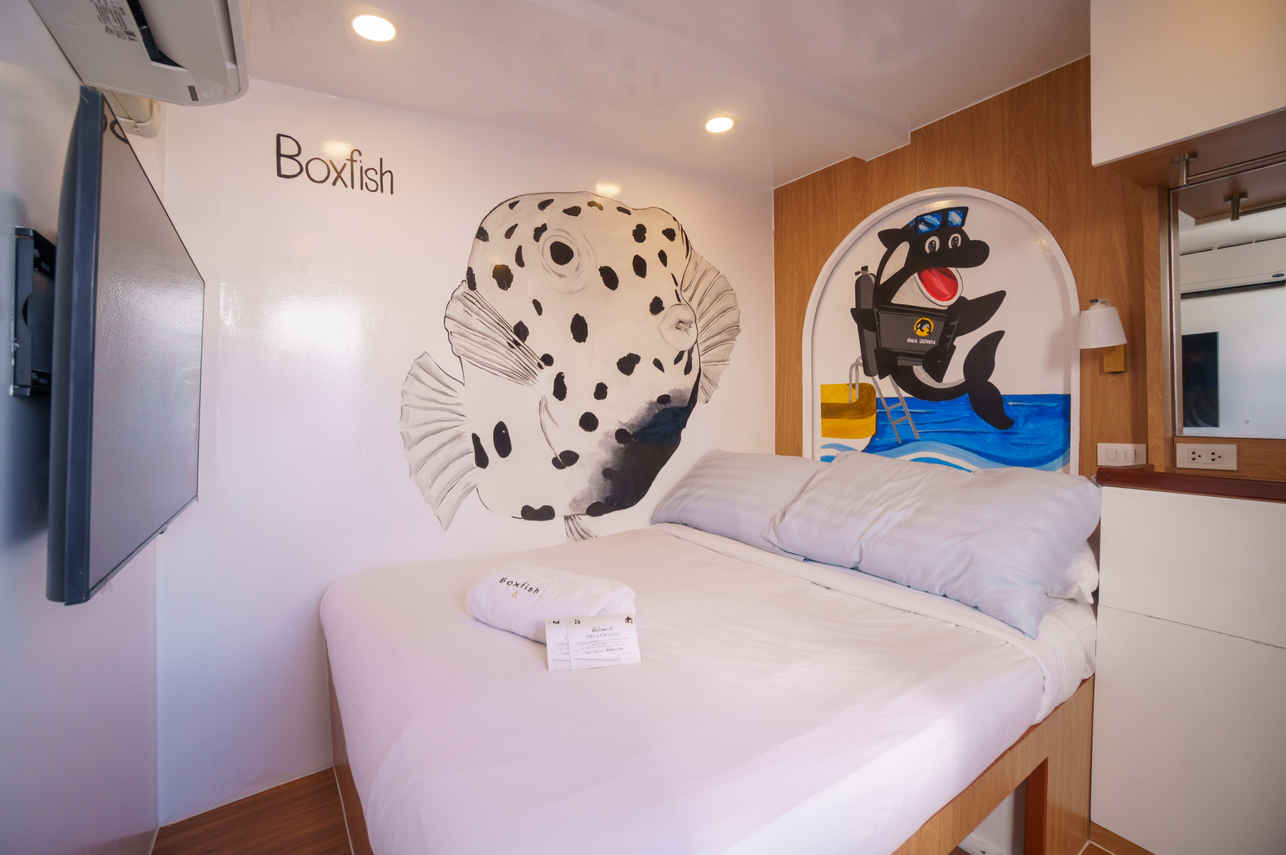 Double Standard Cabin