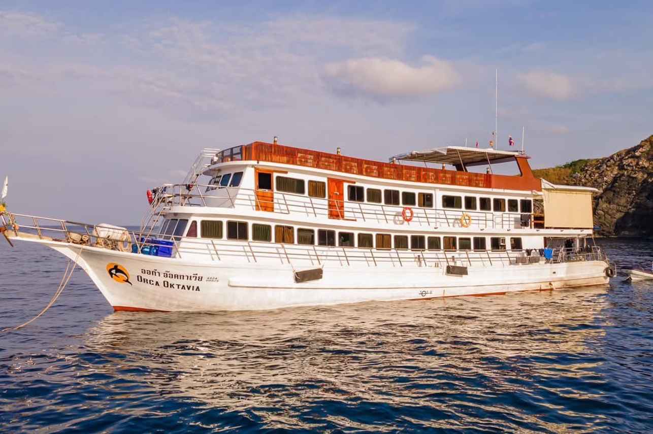 Orca Oktavia