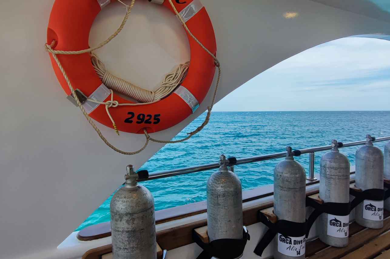 ダイビングデッキ - Alia Soul