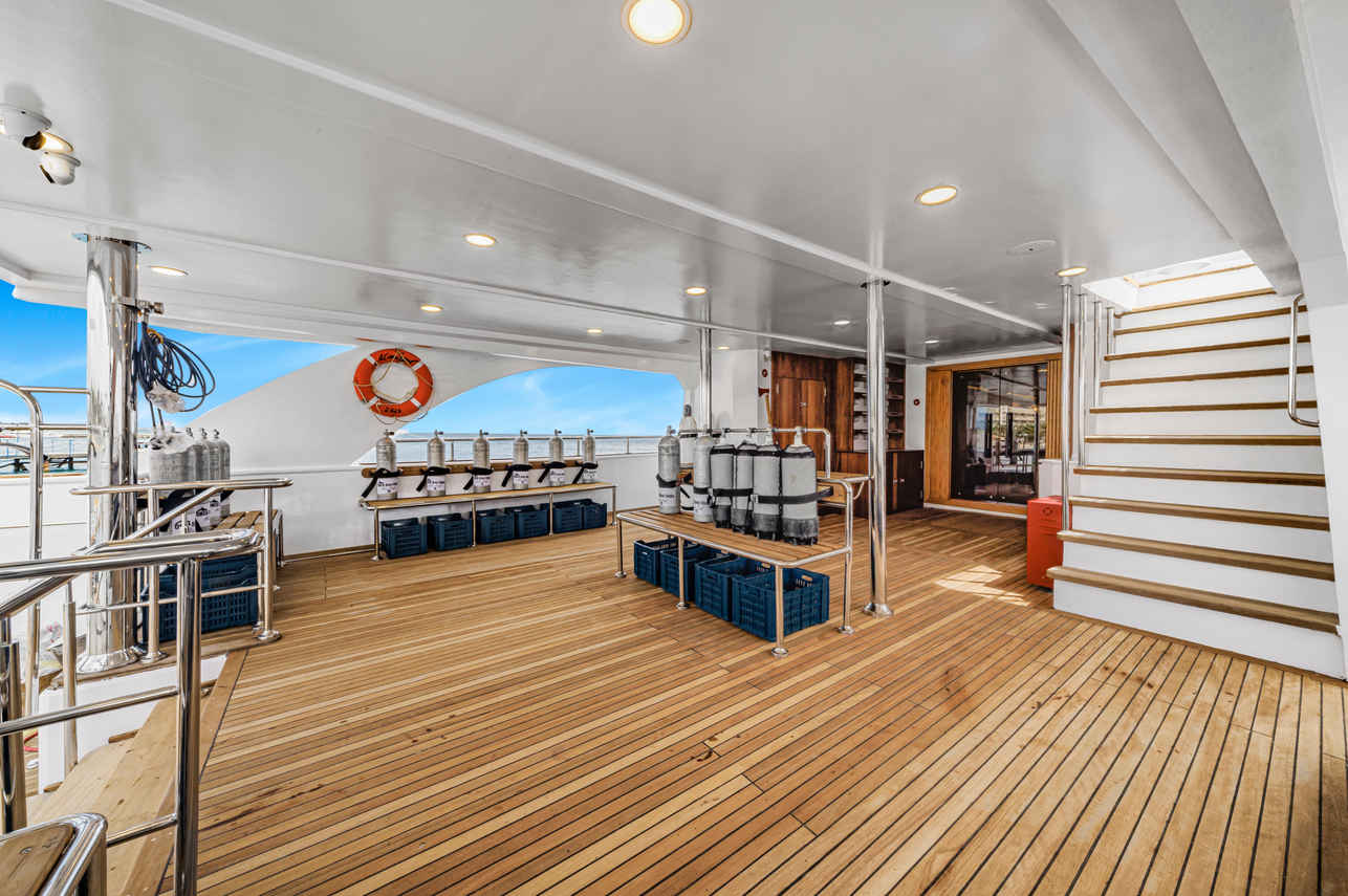 ダイビングデッキ - Alia Soul