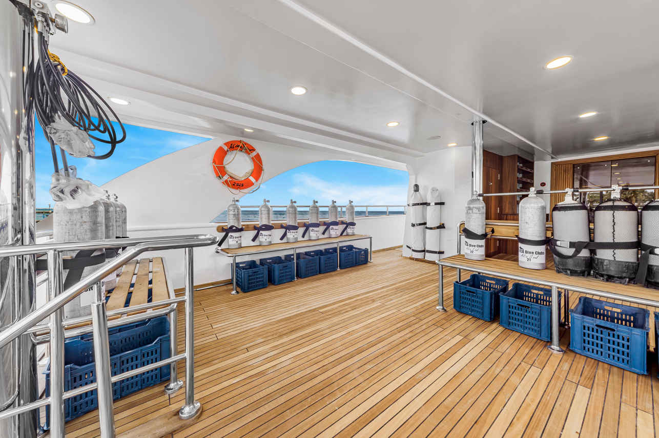 ダイビングデッキ - Alia Soul