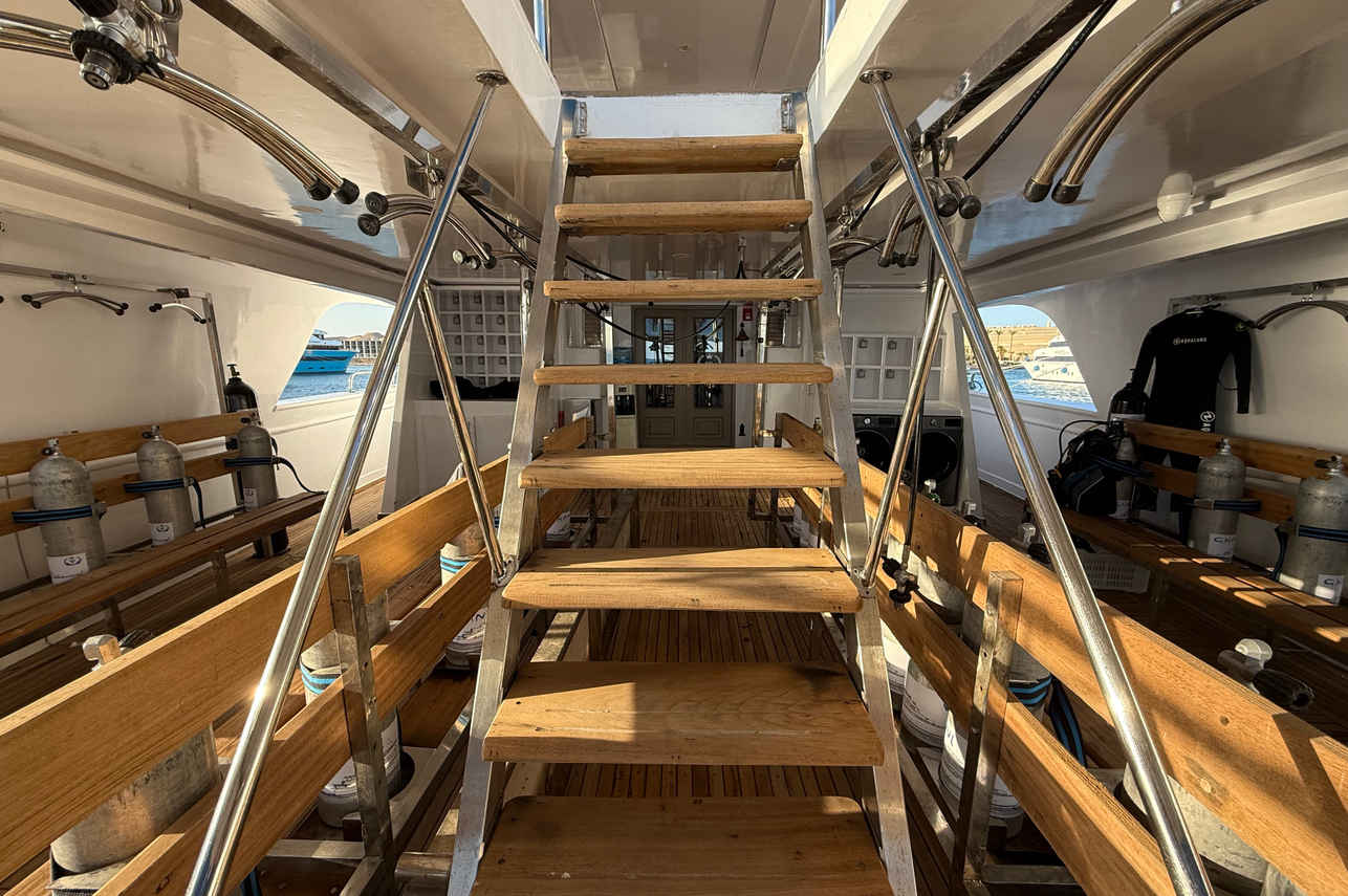 Dive deck - All Star Ghani