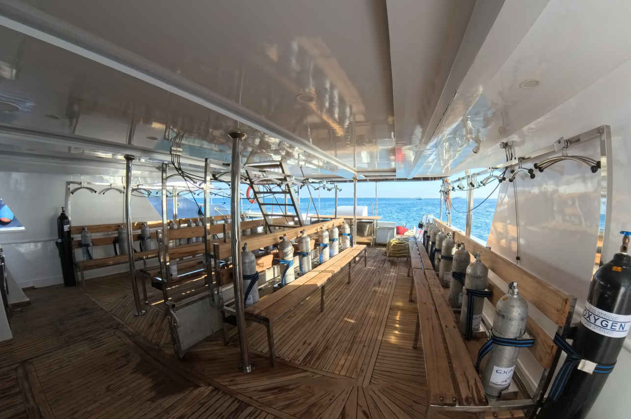 Dive deck - All Star Ghani