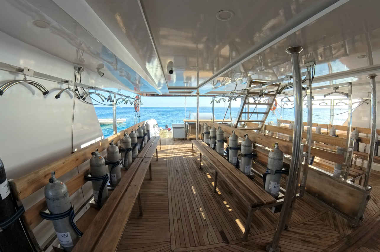 Dive deck - All Star Ghani