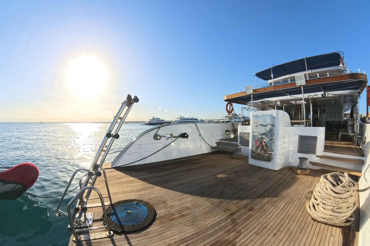 Dive Platform - All Star Ghani