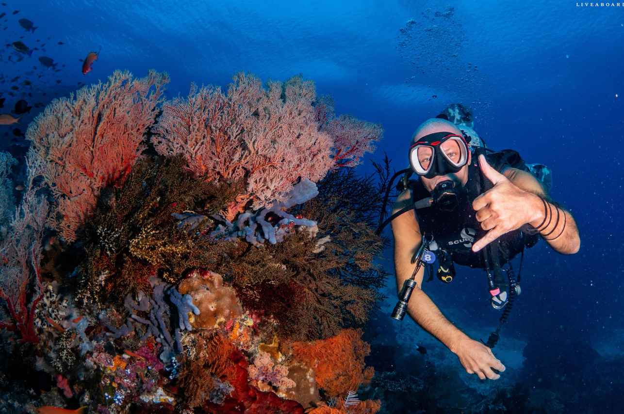 Diving Underwater