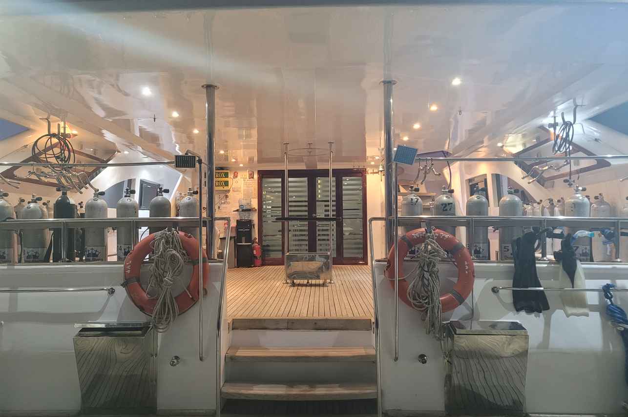 Tauch-Deck - Queen Sherry