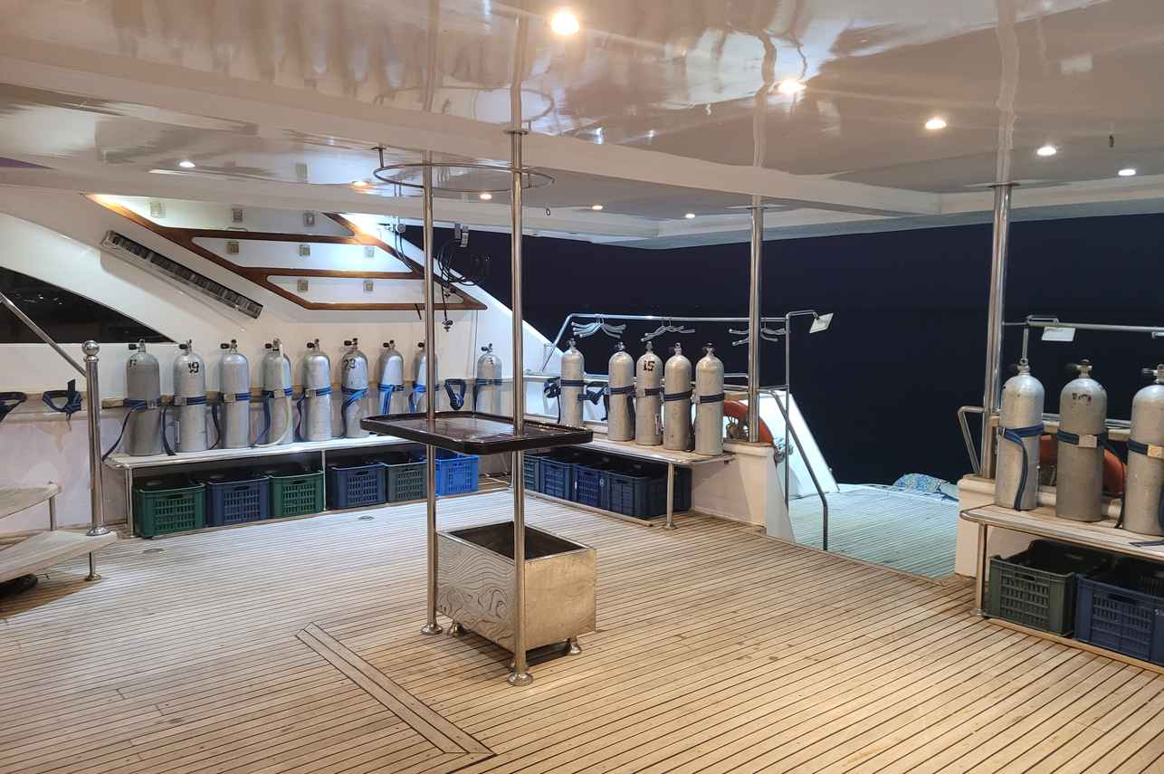 Tauch-Deck - Queen Sherry