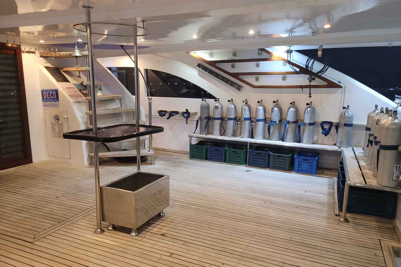 Tauch-Deck - Queen Sherry