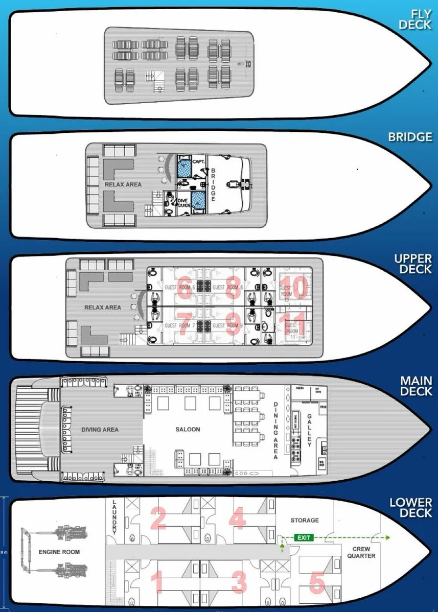 disposizione del ponte