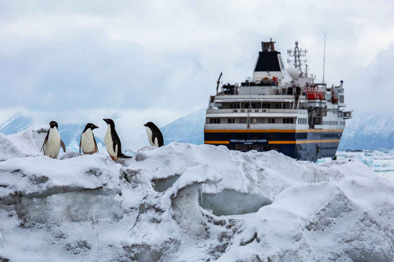 #islandexploration  - Heritage Adventurer