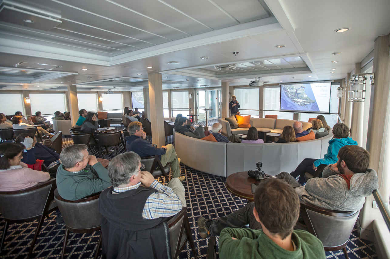 Salon intérieur - Ventus Australis