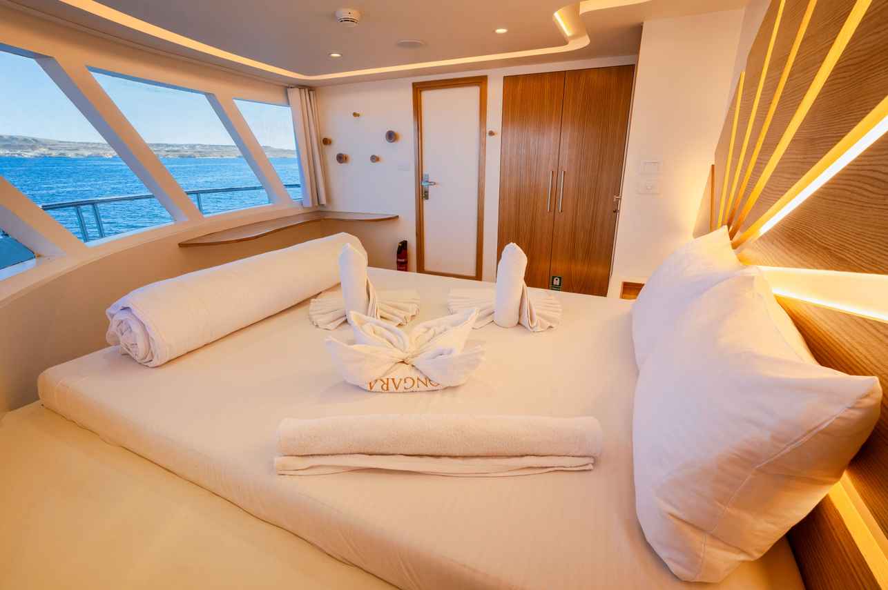 Deluxe Cabin - Dune Longara